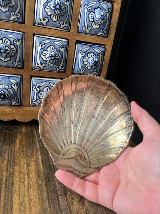 Shell Dish